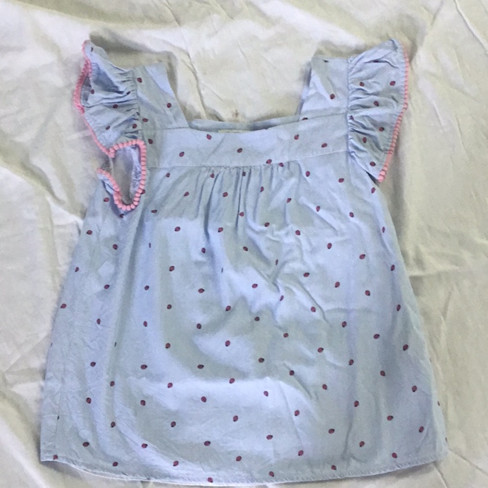 Blue Ladybug Blouse